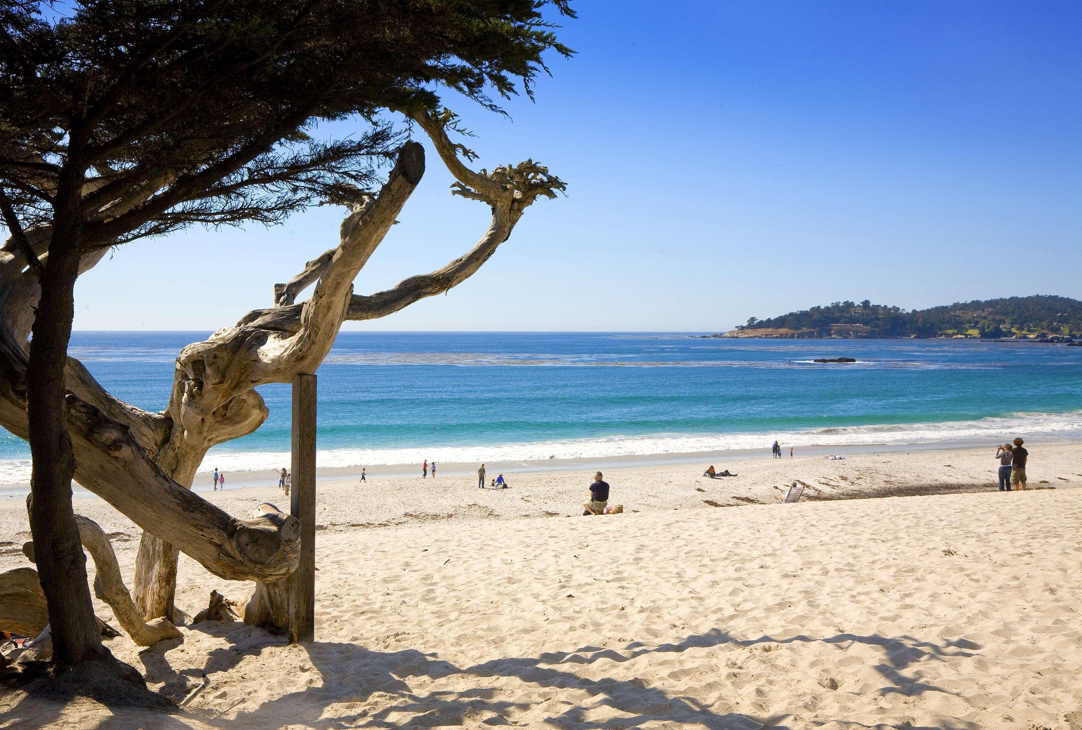 Отель Hyatt Carmel Highlands Удобства фото